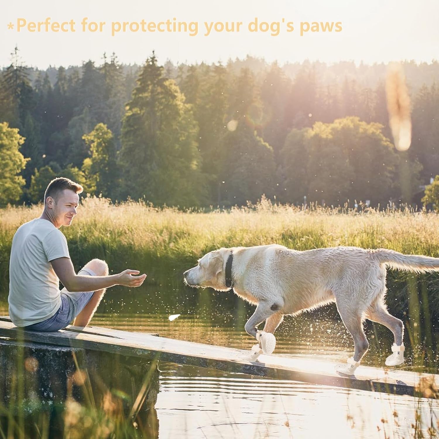 Indoor Dog Boots — Non-Slip Shoes for Floors