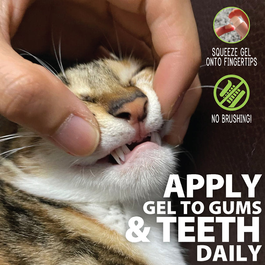 Feline Oral Care Gel