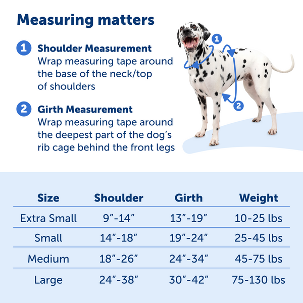 Petsafe Dog Easy Walk Comfort Harness, Blue