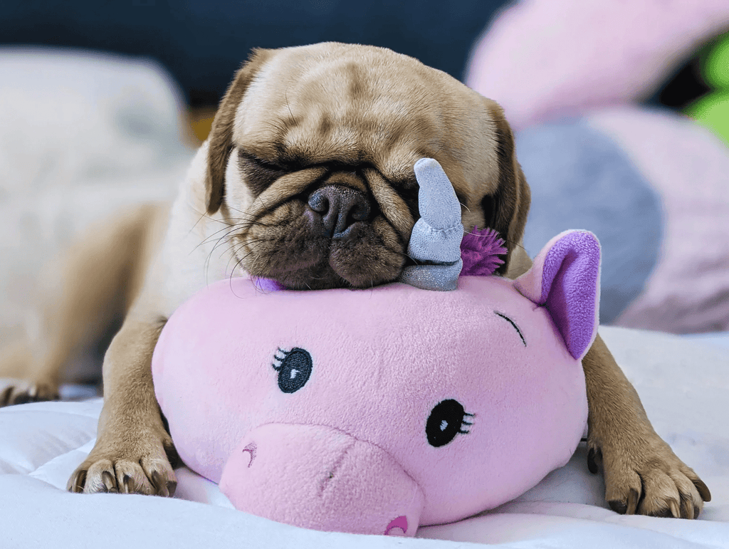 BOGO! Large Squishy Cuddlers Super Soft Plush Pet Toys: Squeak & NO Squeak
