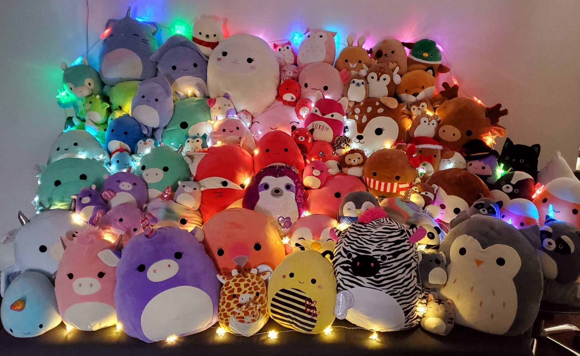 BOGO! Large Squishy Cuddlers Super Soft Plush Pet Toys: Squeak & NO Squeak