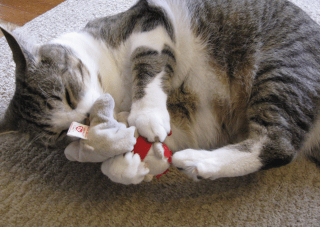 Catnip Critters Organic Catnip Cat Toys / MORE Catnip!